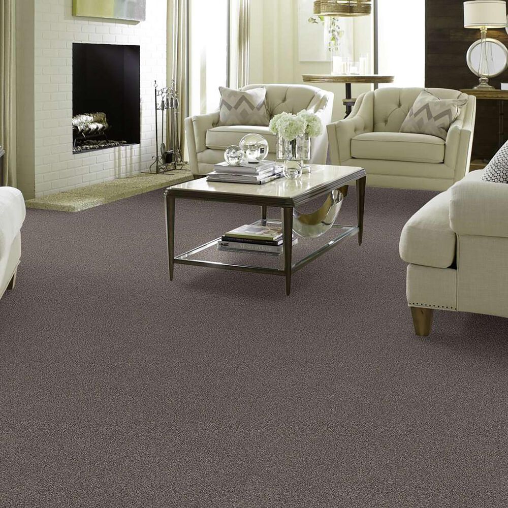 Anderson Tuftex Caress Cozy Harbor I Carpet in Ridgeview, , large
