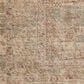 Loloi Sonnet 7"10" x 10" Moss and Natural Area Rug, , large