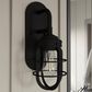 Hunter Starklake 1-Light Wall Sconce in Natural Iron, , large