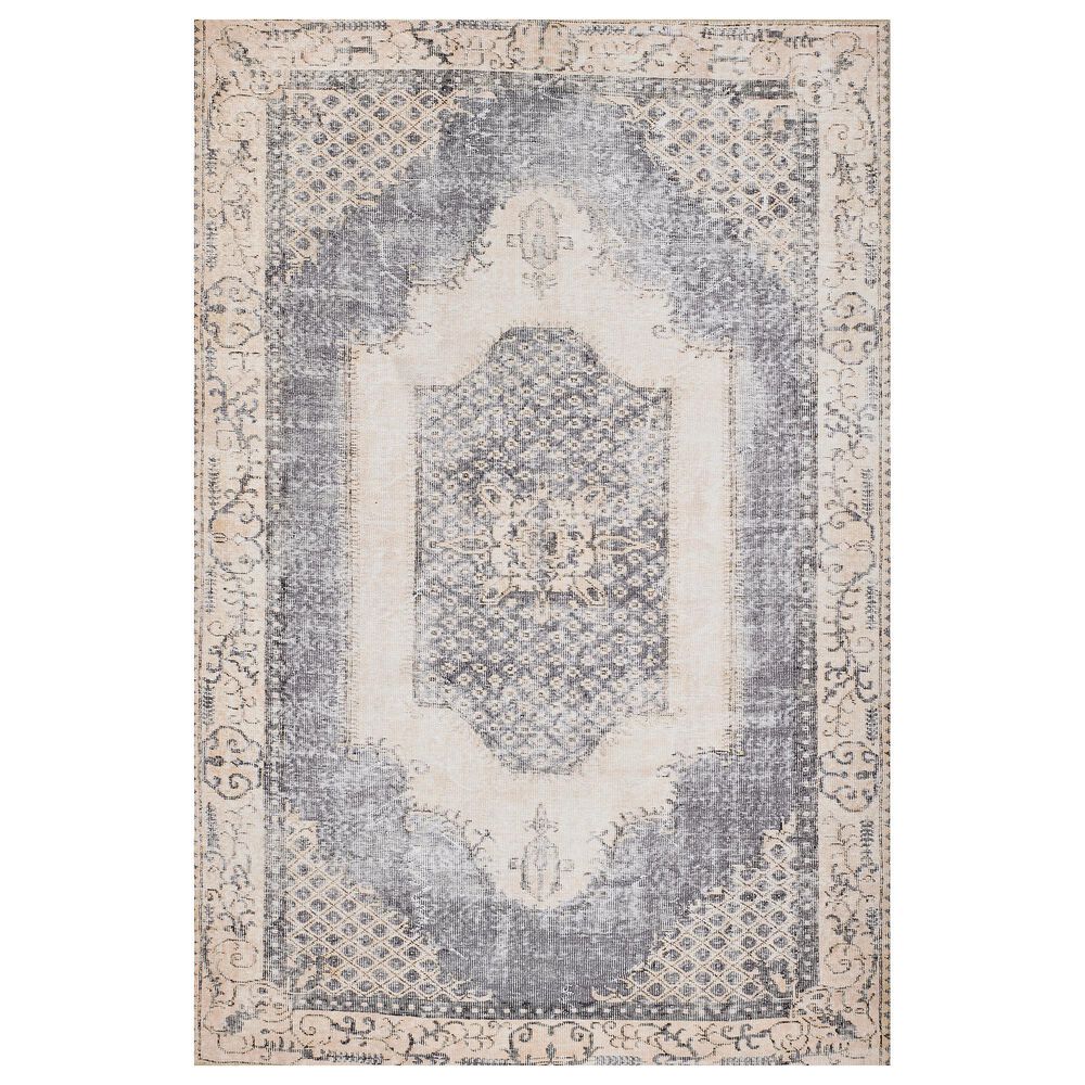 Momeni Afshar 2" x 3" Denim Area Rug, , large