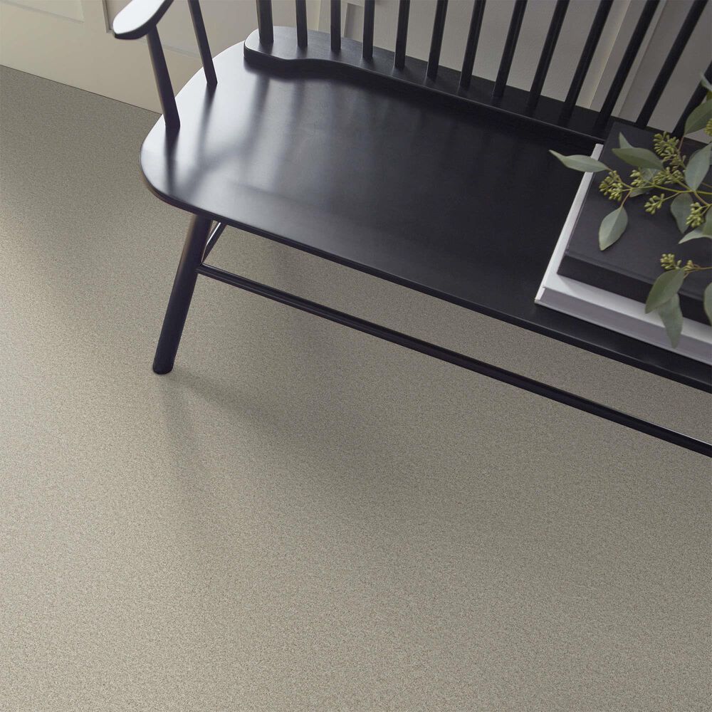 Shaw Tonal Comfort II Carpet in Need A Hug, , large