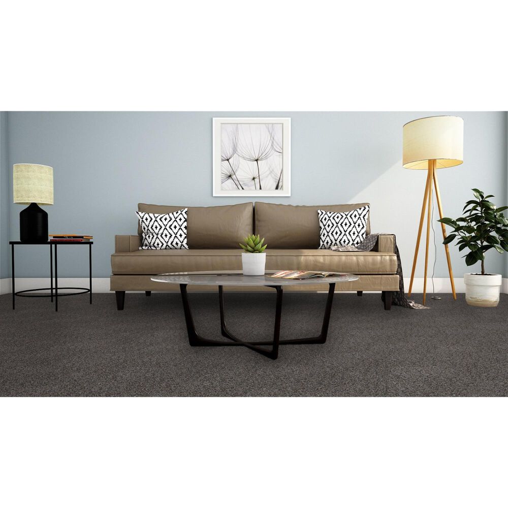 Dream Weaver Reflections III Carpet in Ash Grove, , large