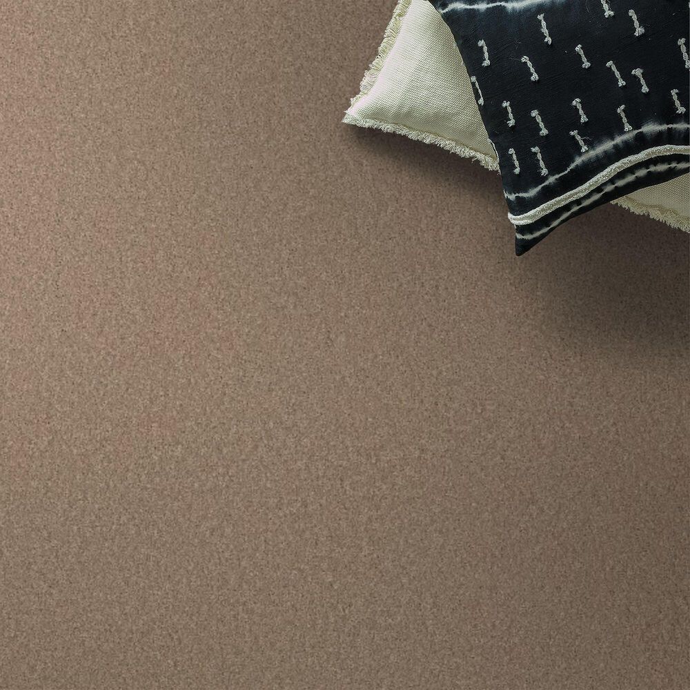 Anderson Tuftex Enchanting Carpet in Warm Sand, , large