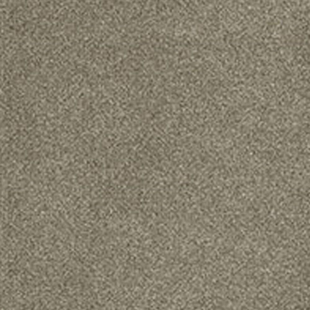 Dream Weaver PS260 Carpet in Garden Rock, , large