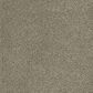 Dream Weaver PS260 Carpet in Garden Rock, , large
