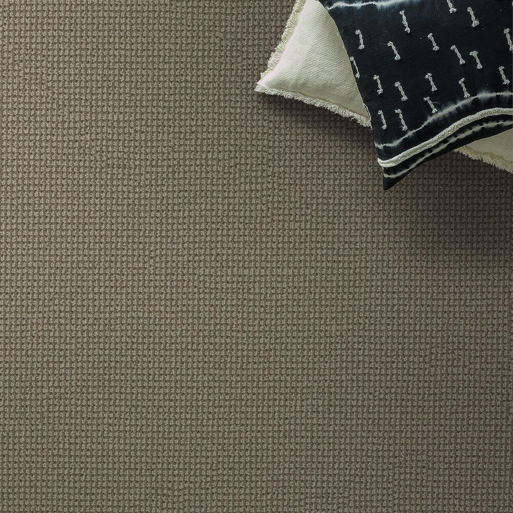 Anderson Tuftex Inspired Carpet in Mohair, , large