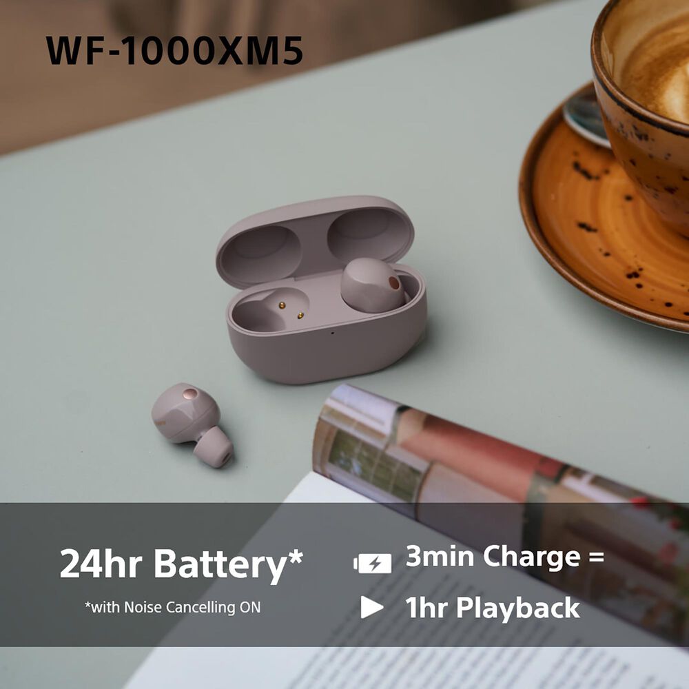 Sony Wireless Noise Cancelling Earbuds in Smoky Pink, , large