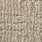 Anderson Tuftex Loredo Carpet in Adobe Beige, , large