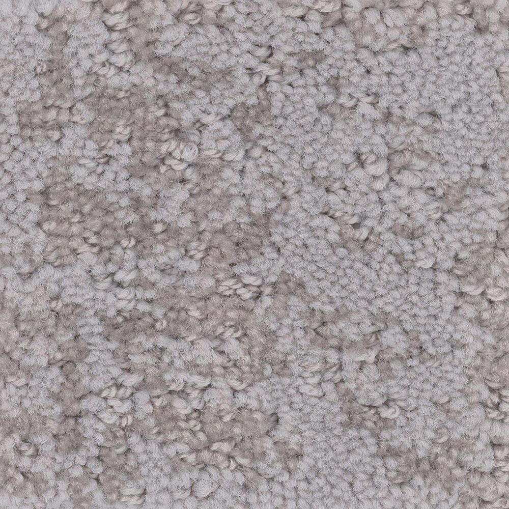 Anderson Tuftex Caress Artistic Presence Carpet in Cold Winter, , large