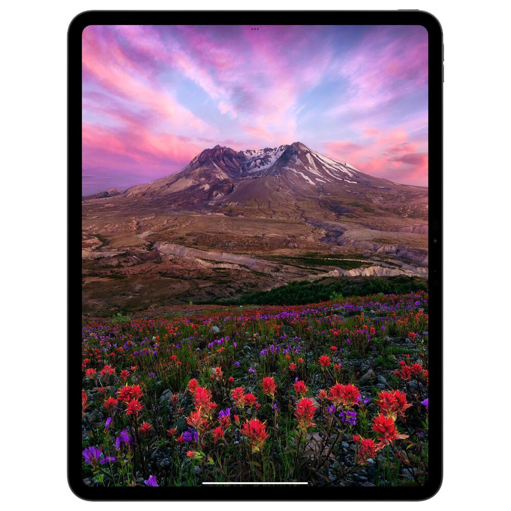 Apple iPad Pro 13-Inch M4 chip with Wi-Fi only - 1TB with Nano Texture Glass in Space Black, , large