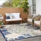Nourison Aloha ALH32 6" x 9" Blue and Grey Indoor/Outdoor Area Rug, , large