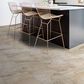 Shaw Paragon Tile Plus Jordan 12" x 24" Luxury Vinyl Tile, , large