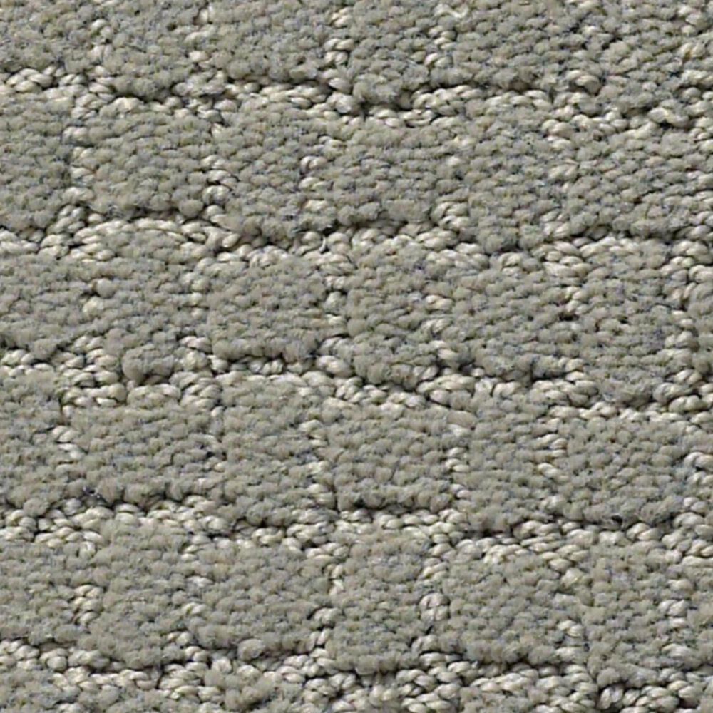 Anderson Tuftex Pawstruck Carpet in Portland, , large