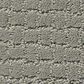 Anderson Tuftex Pawstruck Carpet in Portland, , large