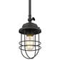 Golden Lighting Seaport 1-Light Mini Pendant in Matte Black, , large