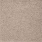 Mohawk Pleasant Touch Carpet in Soapstone, , large