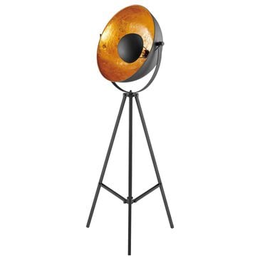 Lite Source Gothard Floor Lamp in Black and Aged Gold, , large