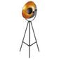 Lite Source Gothard Floor Lamp in Black and Aged Gold, , large