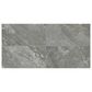 Dal-Tile Famed Glamour 12" x 24" Porcelain Tile, , large