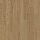 Dream Weaver Nurture Renew 7" x 48" Luxury Vinyl Plank, , large