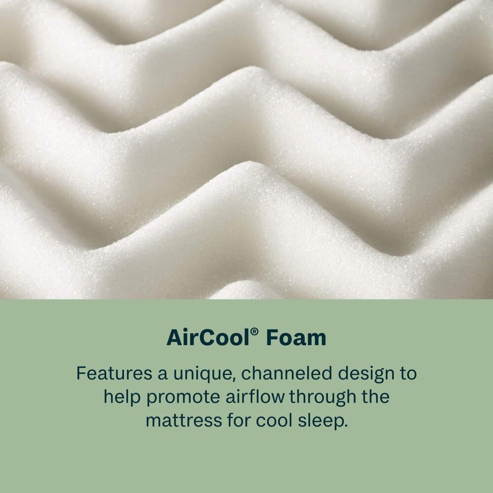 BeautySleep Essential Dream Medium Euro Top Queen Mattress with Low Profile Box Spring, , large
