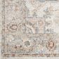 Nourison Astra Machine Washable ASW12 4" x 6" Grey and Multicolor Area Rug, , large