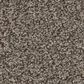 Anderson Tuftex Wyndham Estate Carpet in Ottertail, , large
