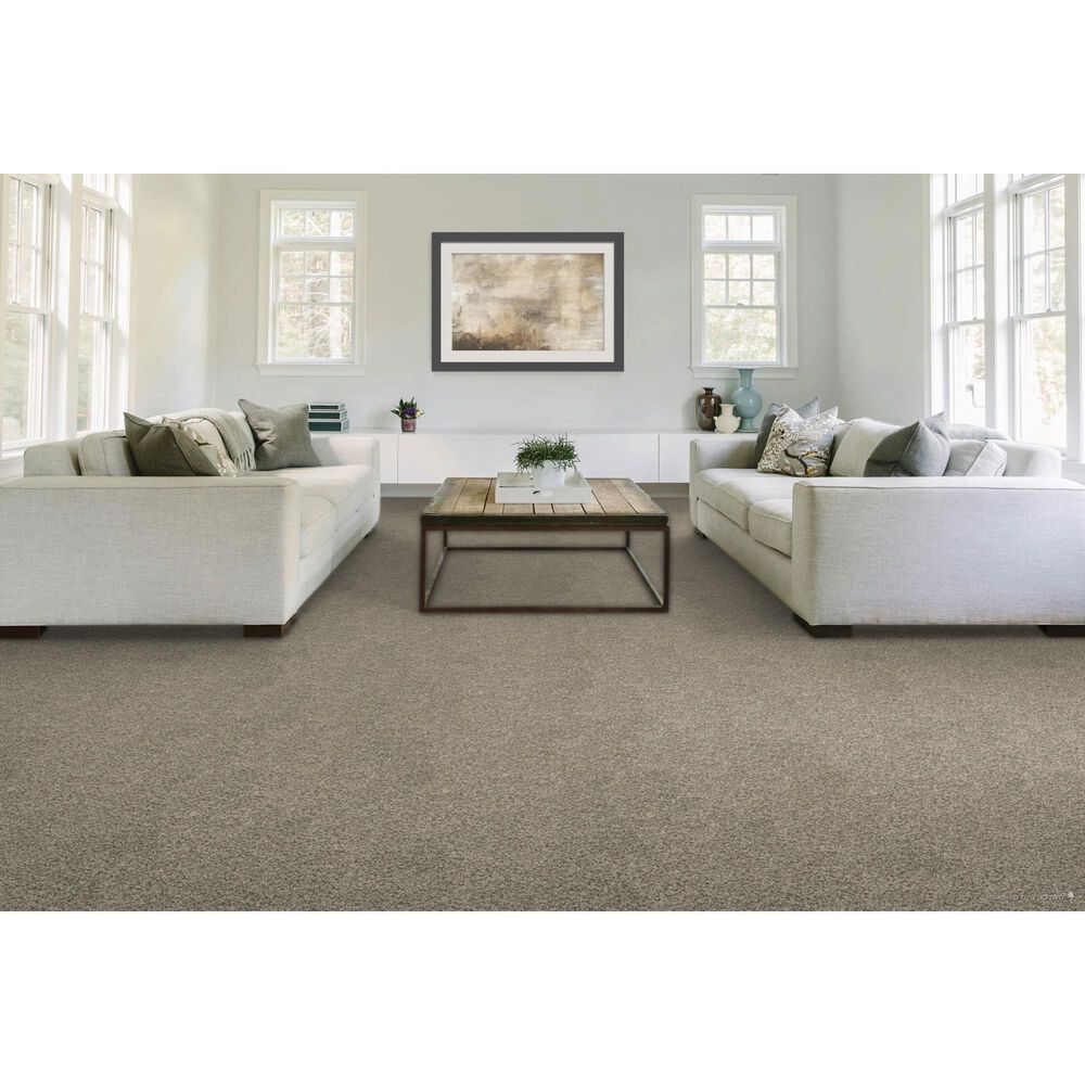 Mohawk Revive Carpet in Silver Dollar, , large