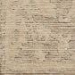 Loloi Penny Coffee and Natural 3"6" x 5"6" Area Rug, , large