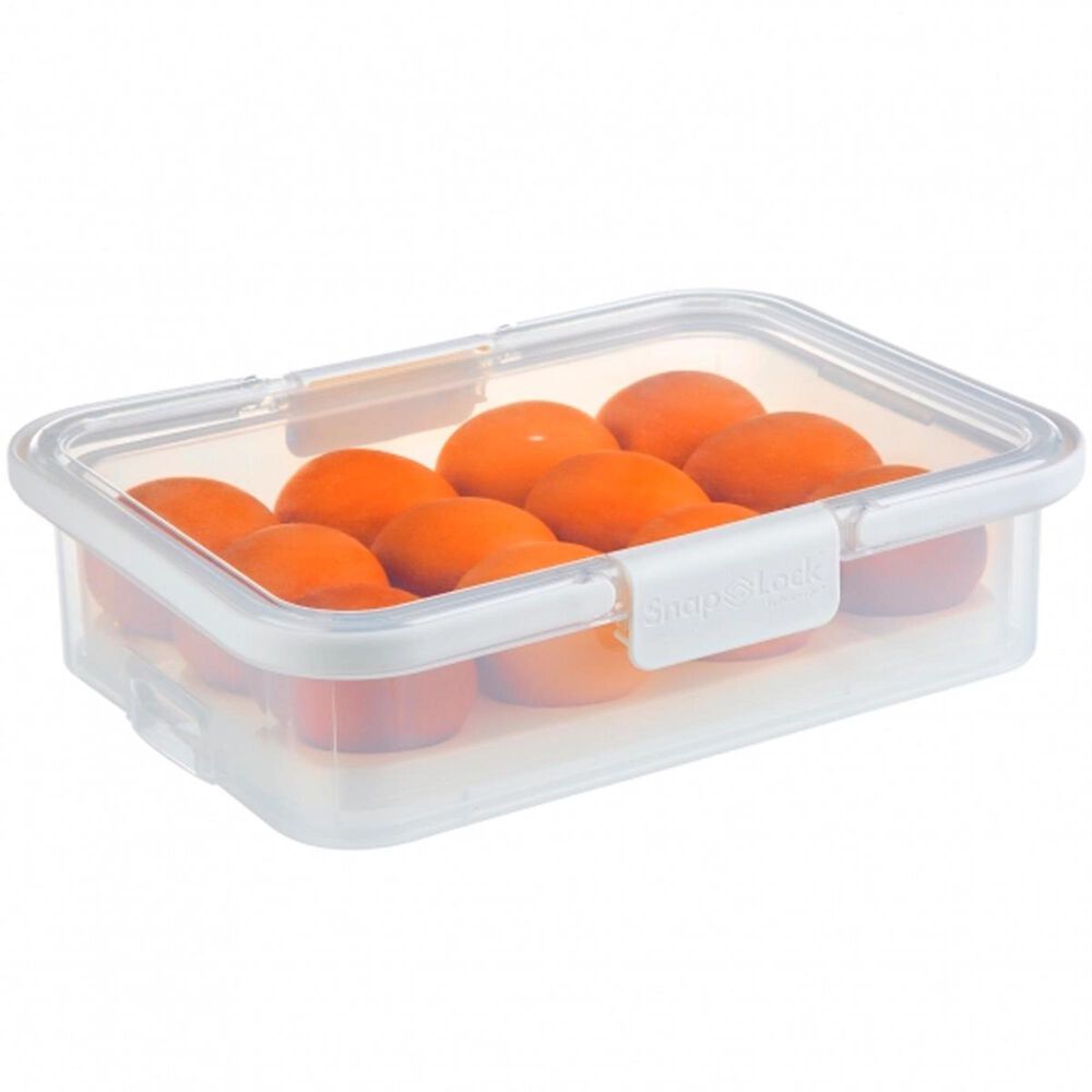 Progressive Snaplock Collapsible Deviled Egg Carrier Nebraska