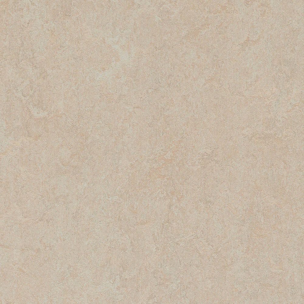 Forbo Marmoleum Silver Birch 12" x 36" Laminate Tile, , large