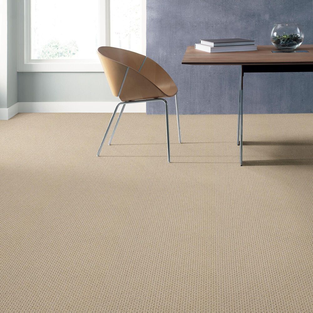 Anderson Tuftex Mera Carpet in Beach Haven, , large