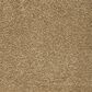Mohawk Pleasant Touch Carpet in Tortoise Comb, , large