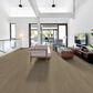 Shaw Dwell Light Roast 9" x 60" Luxury Vinyl Plank, , large