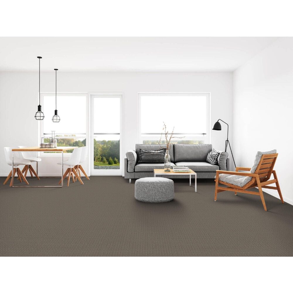 Dixie Home Affinity Carpet in Cobblestone, , large