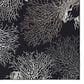 Dalyn Rug Company Seabreeze SZ3 2"6" x 3"10" Black Area Rug, , large