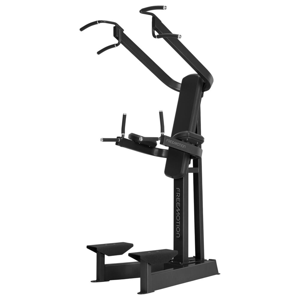 FreeMotion Dip Chin/Ab in Black, , large