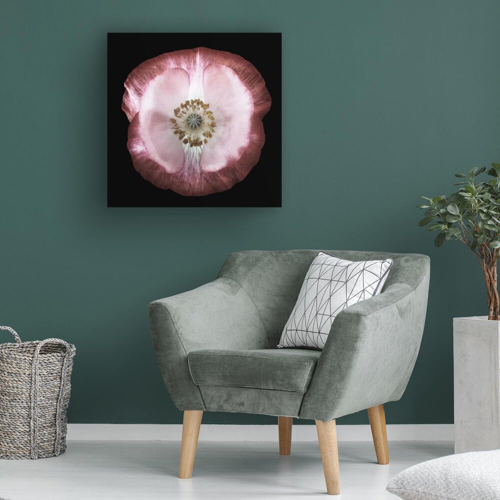 Timberlake Lotte Gronkjar &#39;One of many poppies&#39; 18&quot; x 18&quot; Canvas Art, , large