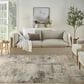 Nourison Sustainable Trends SUT04 7"10" x 9"10" Beige and Grey Area Rug, , large