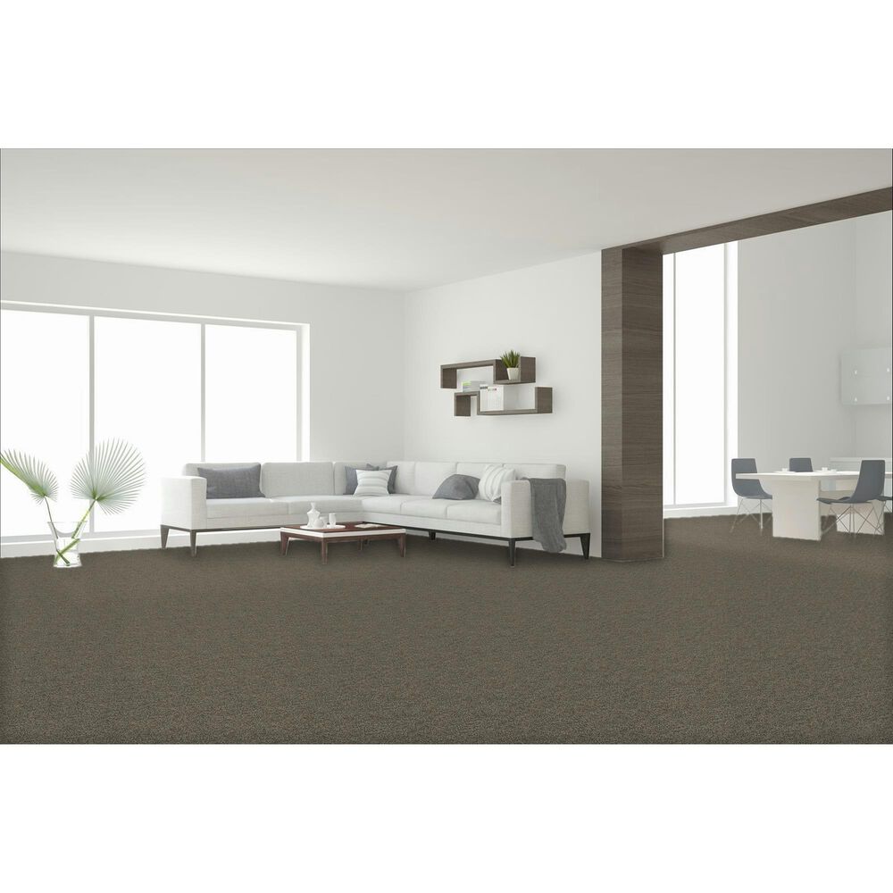 Dream Weaver Confetti I Carpet in Mountain View, , large