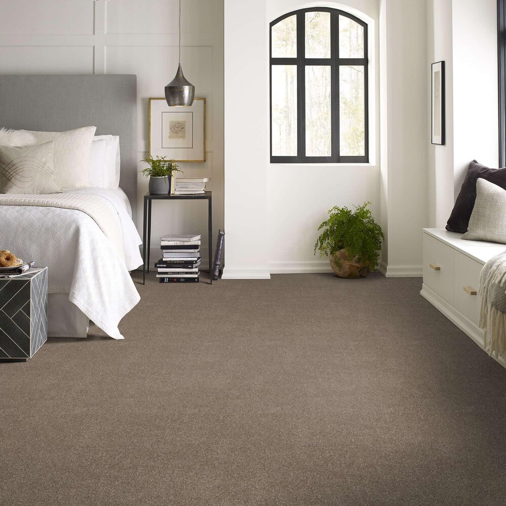 Shaw Grand Outlook Carpet in Hearth Stone, , large
