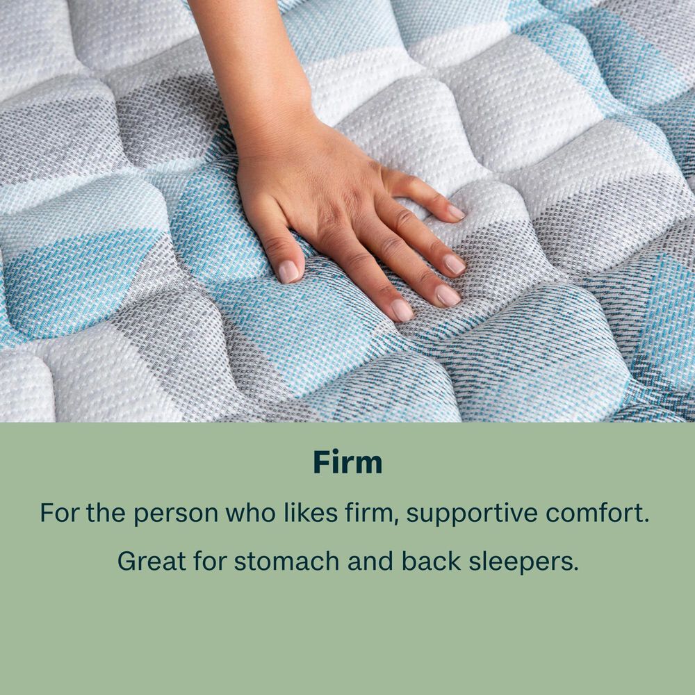 BeautySleep Essential Dream Firm Queen Mattress with High Profile Box Spring, , large