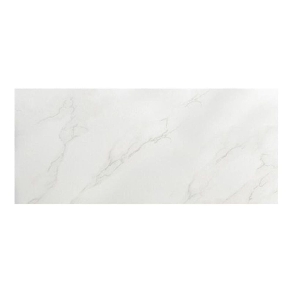 Emser Paladino Albanella Matte 12" x 24" Porcelain Tile, , large