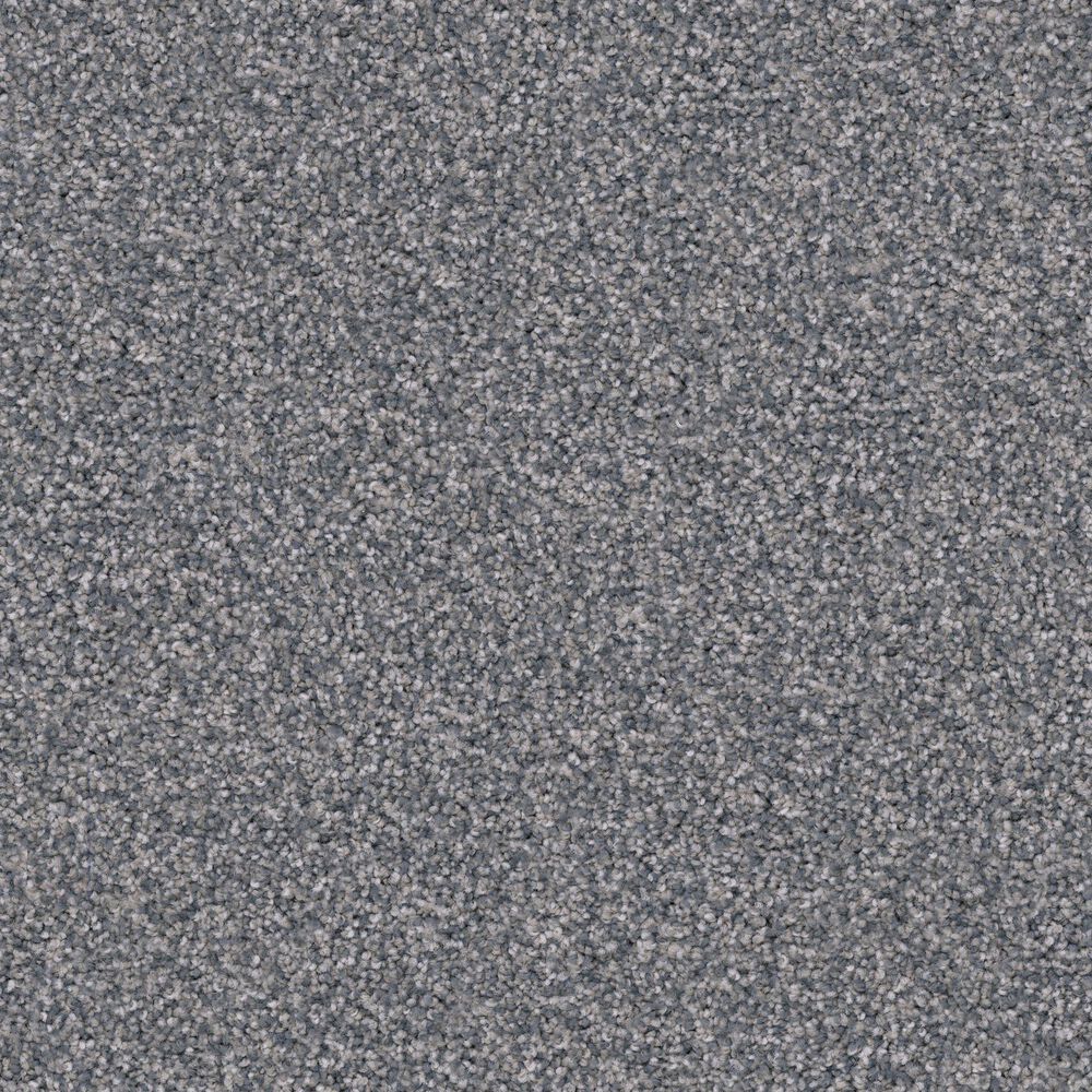Dixie Home Guard Carpet in Pumi, , large