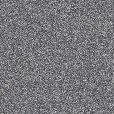 Dixie Home Guard Carpet in Pumi, , large