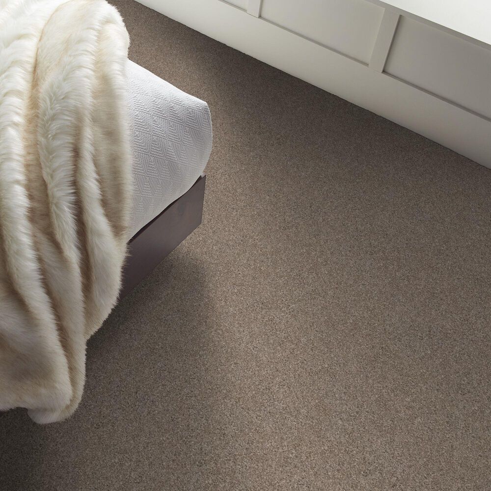 Shaw Yes You Can I Carpet in Cameo, , large