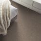 Shaw Yes You Can I Carpet in Cameo, , large