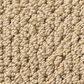 Anderson Tuftex Mera Carpet in Golden, , large