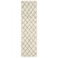 Safavieh Dallas Shag SGD258F-28 2"3" x 8" Ivory/Grey Runner, , large