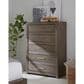 Riva Ridge Modern Loft Queen Storage Panel Bed with Dresser, Chest, and Two Nightstands in Greystone, , large